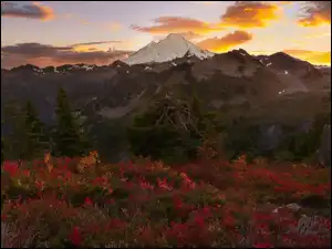 Stany Zjednoczone, Wulkan, Stan Waszyngton, Kolorowe, Rośliny, Góra, Mount Baker, Góry Kaskadowe, Drzewa