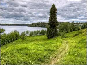 Jezioro otoczone drzewami w okolicach Leningradu w Rosji