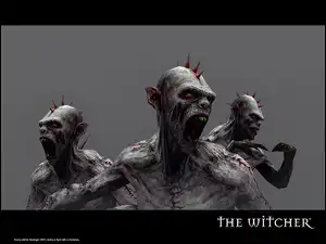 The Witcher, potwór, kolce, kły