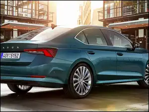 Tył, Skoda Octavia