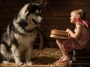 Alaskan malamute, Pies, Dziewczynka