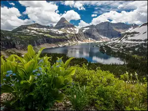 Jezioro Hidden Lake, Drzewa, Stany Zjednoczone, Góry, Stan Montana, Park Narodowy Glacier, Chmury