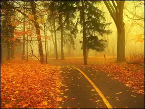 Alejka, Jesień, Mgła, Park, Liście
