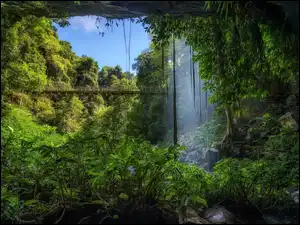 Wodospad Crystal Fall i most w lesie deszczowym