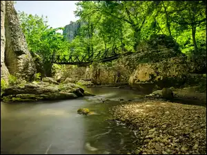 Kamienie, Bułgaria, Rzeka, Drzewa