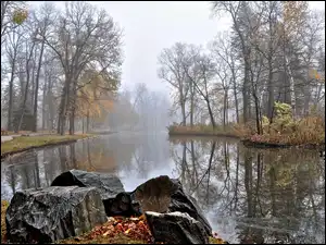 Kaczki, Rzeka, Park, Jesień, Kamienie, Mgła