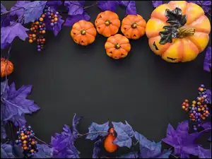 Sztuczne, Dynie, Fioletowe, Kompozycja, Liście