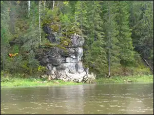 Las, Rzeka, Skały