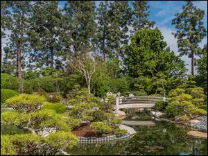 Stany Zjednoczone, Most, Kalifornia, Earl Burns Miller Japanese Garden, Long Beach, Staw, Drzewa, Ogród, Krzewy