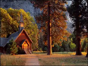 Park Narodowy Yosemite, Drzewa, Stan Kalifornia, Stany Zjednoczone, Kościółek Yosemite Valley Chapel