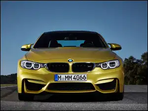 Grill, BMW M4, Ringi