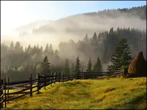 Lasy, Góry, Łąki, Jesień, Mgła, Snopki