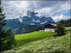 Drzewa, Chmury, Las, Góry, Dom