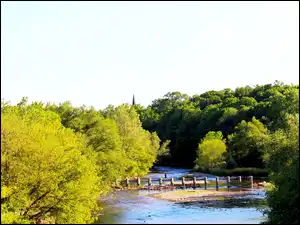 Credit River, Ontario, Widok, Rzeka, Lato, Drzewa, Kanada