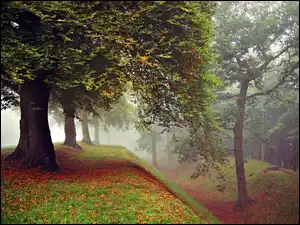 Mgła, Jesień, Park