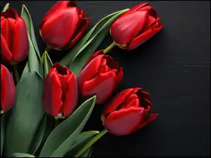 Tulipany, Czarne, Kwiaty, Czerwone, Tło