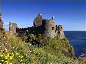 Dunluce, Ruiny, Północna, Zamek, Irlandia, Łąka, Morze