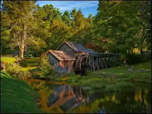 Mabry Mill, Rzeka, Stany Zjednoczone, Młyn wodny, Wirginia, Trawa, Drzewa