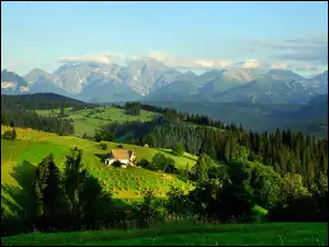 Lasy, Łąki, Polska, Góry, Tatry, Domy, Pola