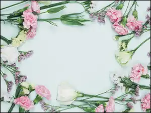 Zatrwian, Kwiaty, Eustoma, Goździki