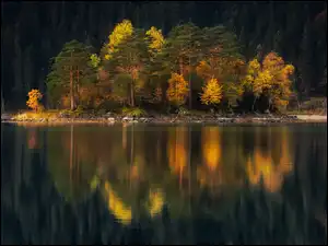Odbicie, Jesień, Drzewa, Jesienne, Jezioro