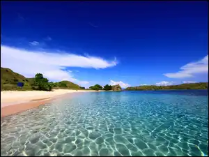 Komodo, Wyspa, Plaża, Drzewa, Morze, Wzgórza