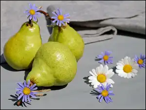 Gruszki i stokrotki na obrusie