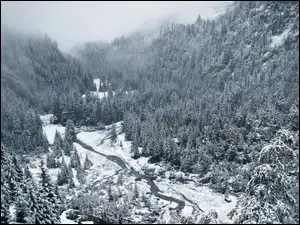 Śnieg, Dolina, Zima, Drzewa