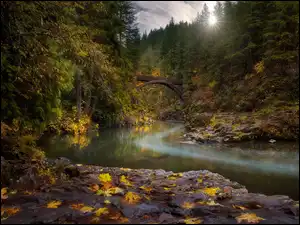 Skały, Las, Rzeka Lewis River, Stan Waszyngton, Jesienne, Most Moulton Falls Bridge, Stany Zjednoczone, Drzewa
