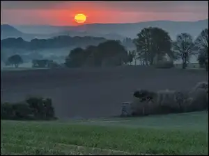 Drzewa, Wzgórza, Pola, Wschód słońca, Mgła