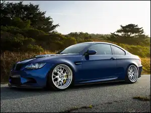 Drzewa, Niebieskie, BMW M5, Droga