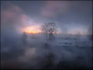 Rzeka, Zachód słońca, Mgła, Zima, Drzewa