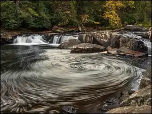 Youghiogheny River, Drzewa, Uskok, Maryland, Wir, Rzeka, Stany Zjednoczone, Skały
