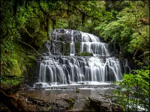 Purakaunui Falls, Wodospad, Skała, Nowa Zelandia, Drzewa, Catlins