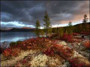 Rosja, Tęcza, Kołyma, Jezioro Jack London, Drzewa, Jesień, Roślinność, Kolorowa, Góry, Magadan