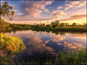 Zachód słońca, Jezioro, Odbicie, Lato, Chmury, Trawa, Drzewa