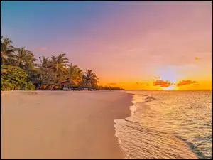 Wschód słońca, Morze, Plaża, Palmy