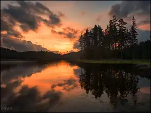 Las, Chmury, Drzewa, Jezioro, Zachód słońca