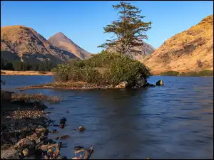Drzewa na wysepce na rzece River Etive