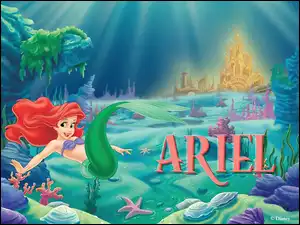 Ariel, Mała Syrenka, The Little Mermaid
