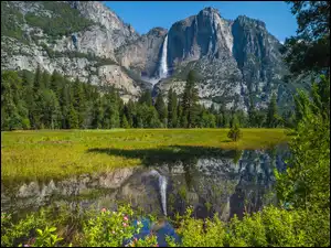 Drzewa, Stany Zjednoczone, Skały, Kwiaty, Kalifornia, Wodospad, Góry, Park Narodowy Yosemite
