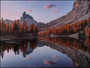 Drzewa, Jesień, Lago Federa, Modrzew, Góry, Żółte, Włochy, Jezioro