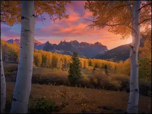 Stany Zjednoczone, San Juan Mountains, Kolorado, Jesień, Zachód słońca, Las, Drzewa, Góry, Brzozy