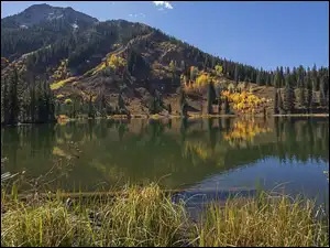 West Elk Mountains, Góry, Dollar Lake, Stany Zjednoczone, Jezioro, Kolorado
