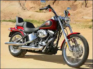 Harley-Davidson Softail Custom, Motocykl