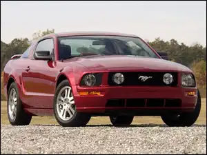 Ford Mustang, Wiśniowy