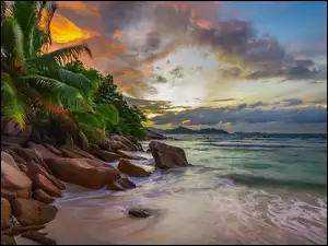 Chmury, Kamienie, Roślinność, Palmy, Morze, Seszele, Anse Severe Beach, Plaża, Wyspa La Digue, Zachód słońca