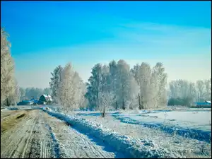Omrożone, Zima, Wioska, Droga, Drzewa