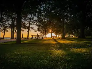 Zachód Słońca, Park, Ławki, Trawnik