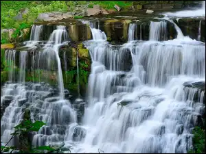 Skalny wodospad w Parku Narodowym Chittenango Falls State Park w Nowym Jorku
